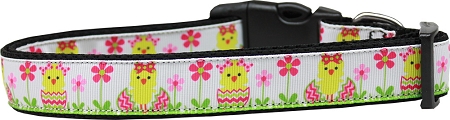 Spring Chicken Nylon Dog Leash 3/8 inch wide 4ft Long